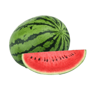 Watermelon Plant
